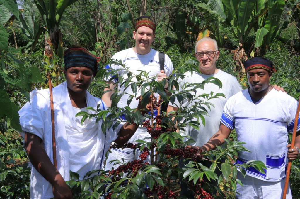 Coffee on Sidamo Farm Land